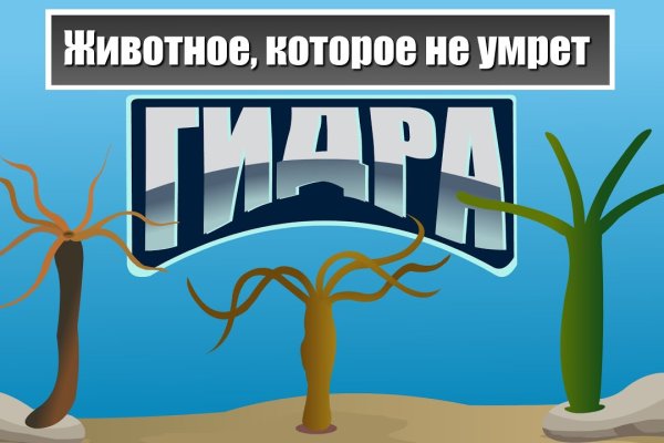 Кракен даркнет только через тор